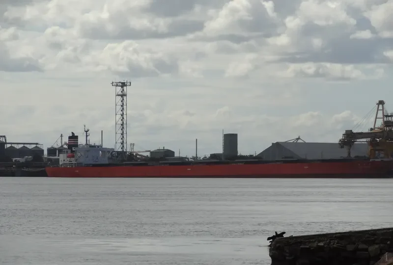 SUNNY SAILOR Bulk Carrier IMO 9196802 photo 3
