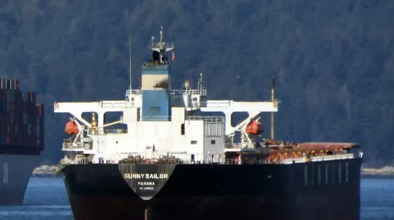 SUNNY SAILOR Bulk Carrier IMO 9196802 photo 5