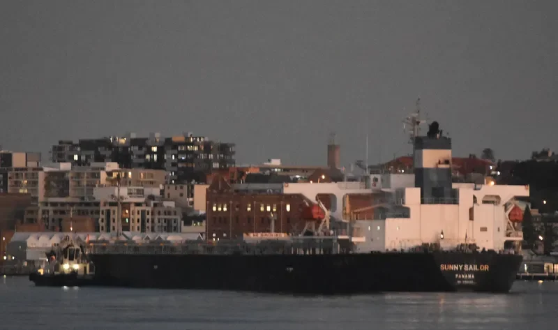 SUNNY SAILOR Bulk Carrier IMO 9196802 photo 7