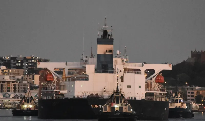 SUNNY SAILOR Bulk Carrier IMO 9196802 photo 8