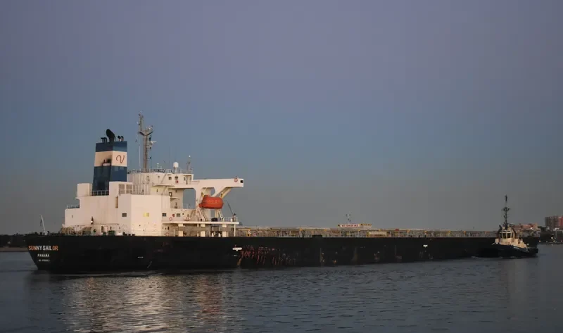 SUNNY SAILOR Bulk Carrier IMO 9196802 photo 9