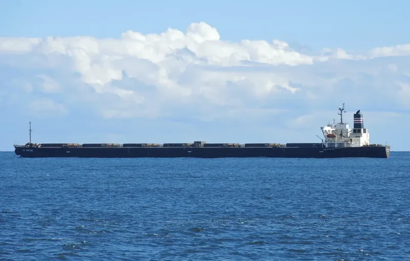 TEN SPRING Bulk Carrier IMO 9196826