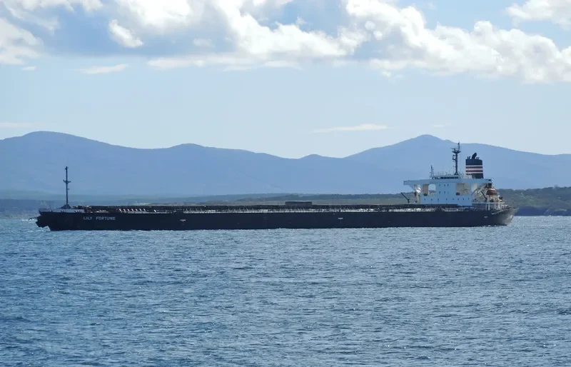 TEN SPRING Bulk Carrier IMO 9196826 photo 2