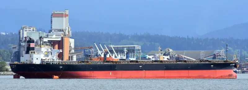 TEN SPRING Bulk Carrier IMO 9196826 photo 4