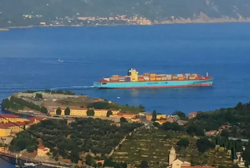 YORK Container Ship IMO 9196838 photo 3