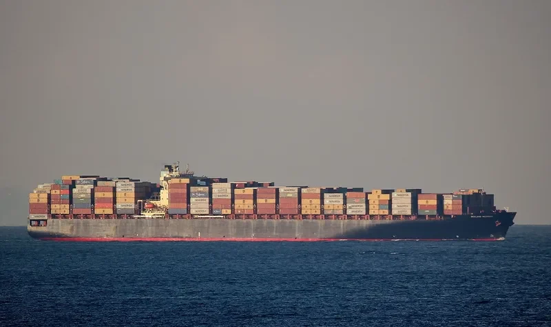 SEALAND MICHIGAN Container Ship IMO 9196864