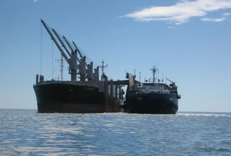 WUNMA Bulk Carrier IMO 9196929