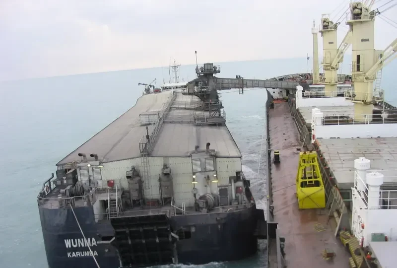 WUNMA Bulk Carrier IMO 9196929 photo 3