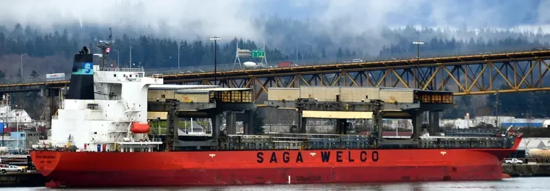 SAGA ANDORINHA General Cargo IMO 9197002 photo 2
