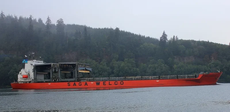 SAGA ANDORINHA General Cargo IMO 9197002 photo 7