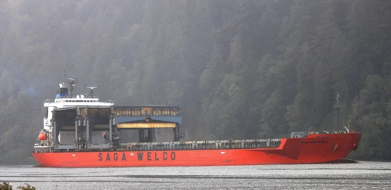 SAGA ANDORINHA General Cargo IMO 9197002 photo 8