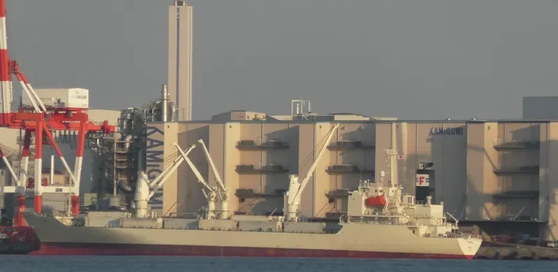VEGA General Cargo IMO 9197052
