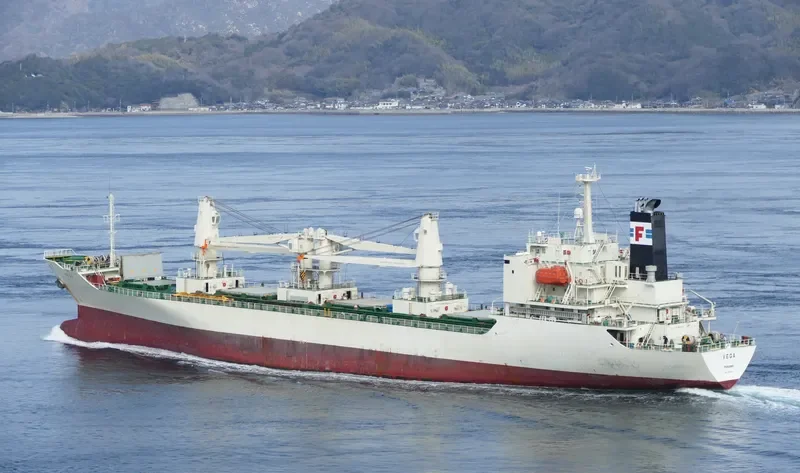 VEGA General Cargo IMO 9197052 photo 10