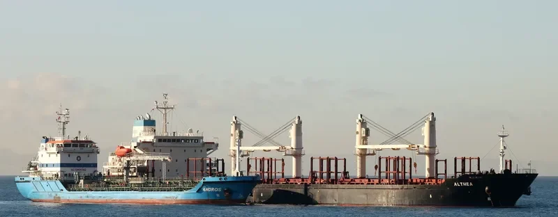 ALTHEA Bulk Carrier IMO 9197117