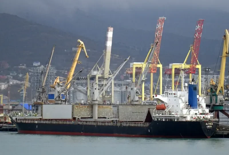 ALTHEA Bulk Carrier IMO 9197117 photo 2
