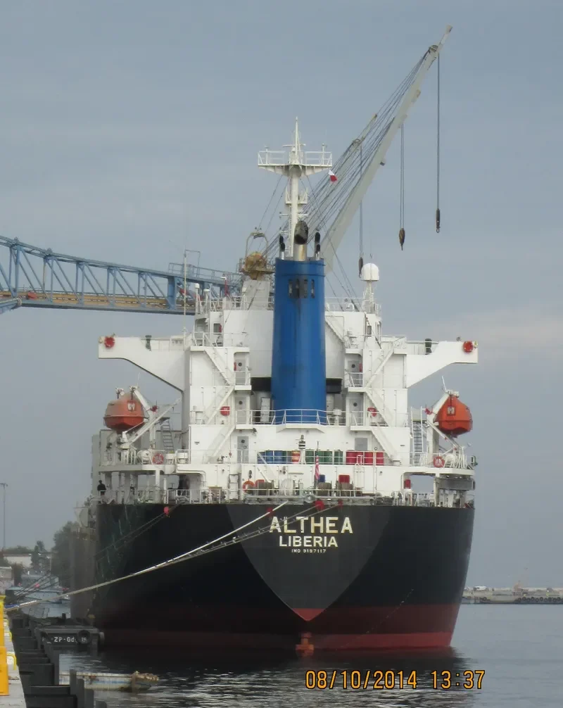 ALTHEA Bulk Carrier IMO 9197117 photo 4