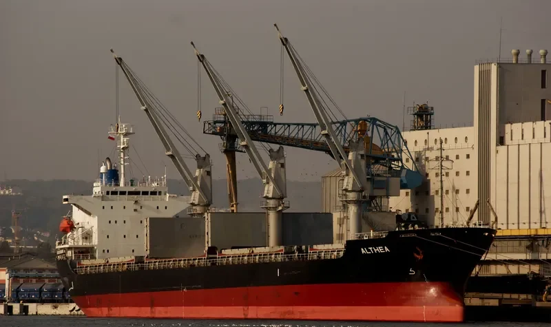 ALTHEA Bulk Carrier IMO 9197117 photo 5