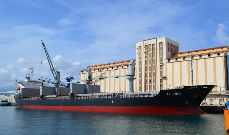 ALTHEA Bulk Carrier IMO 9197117 photo 6