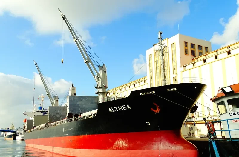 ALTHEA Bulk Carrier IMO 9197117 photo 7