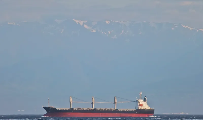 ALTHEA Bulk Carrier IMO 9197117 photo 10