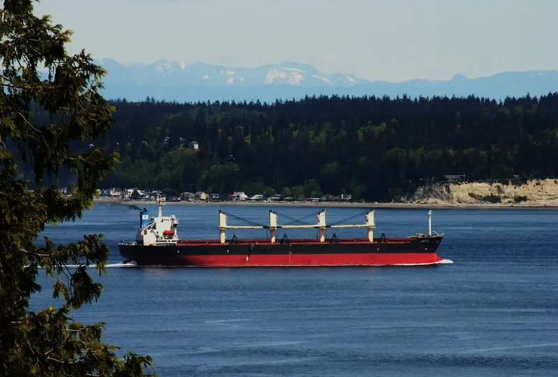 ZE RUI 1 Bulk Carrier IMO 9197222 photo 3