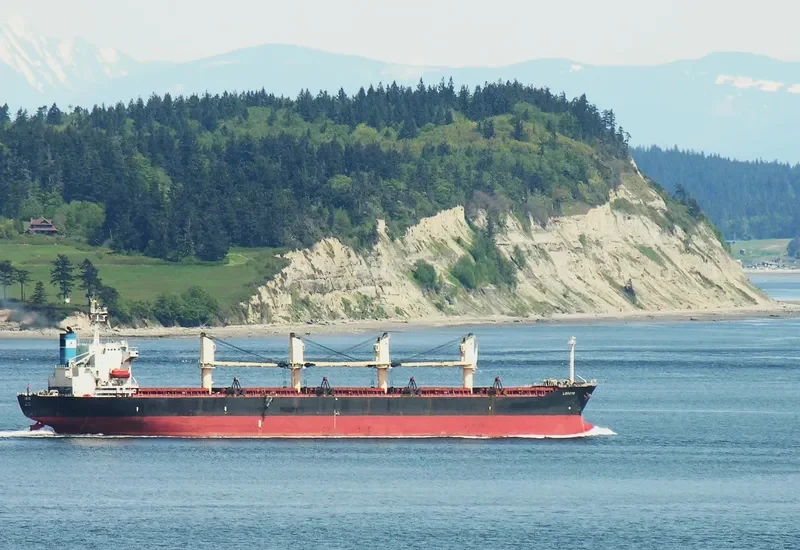 ZE RUI 1 Bulk Carrier IMO 9197222 photo 4