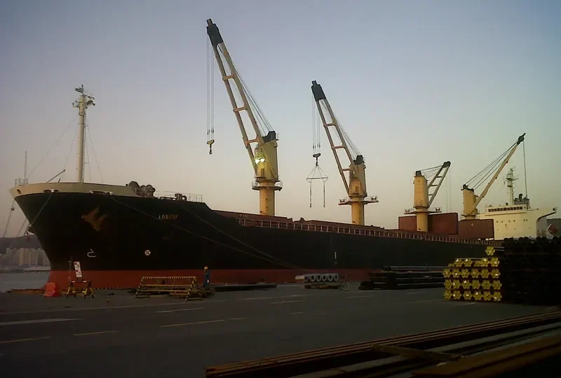 ZE RUI 1 Bulk Carrier IMO 9197222 photo 6
