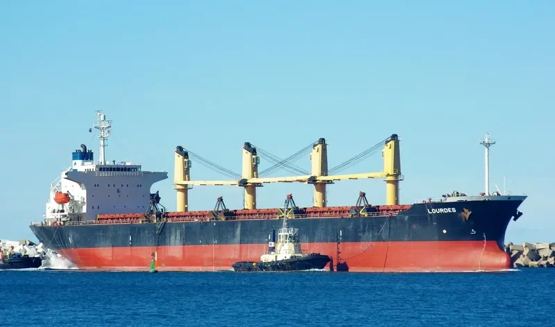 ZE RUI 1 Bulk Carrier IMO 9197222 photo 7
