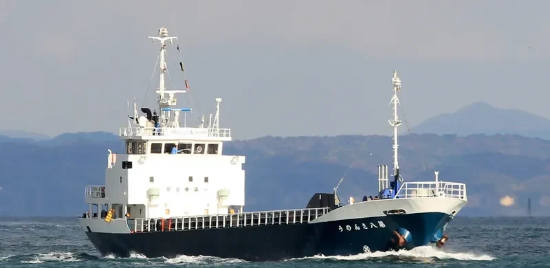 SANNO NO.8 General Cargo IMO 9197260 photo 3