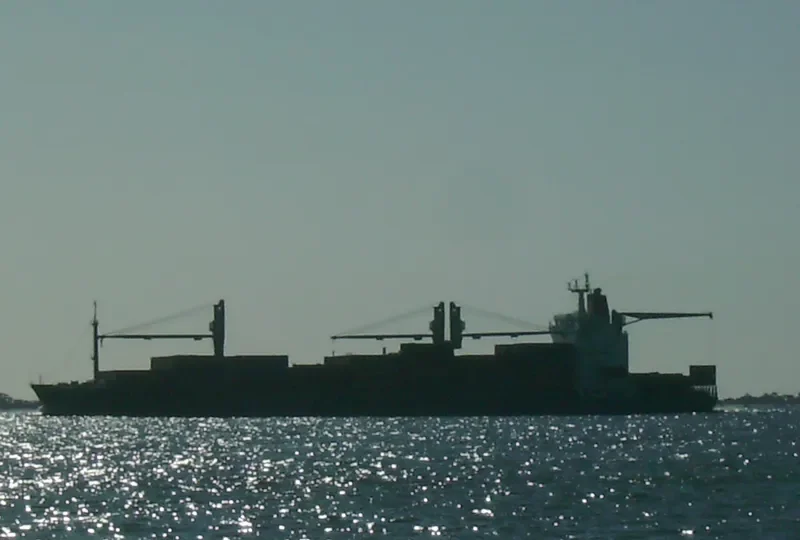 MAPOCHO Container Ship IMO 9197351 photo 8