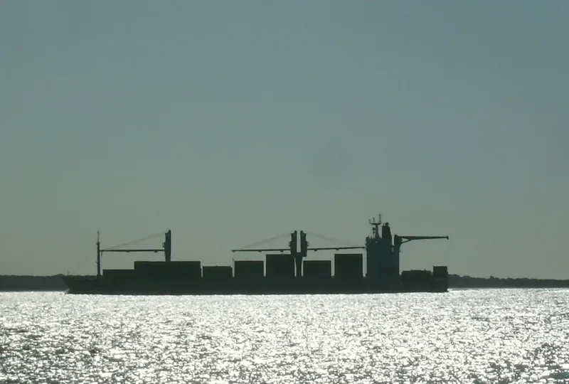 MAPOCHO Container Ship IMO 9197351 photo 9