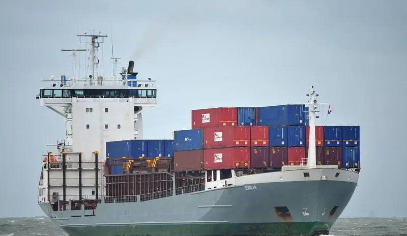 EMILIA Container Ship IMO 9197521 photo 2
