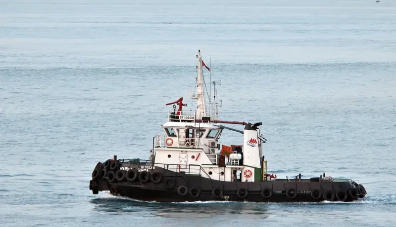 MARINA MEGA General Cargo IMO 9197648