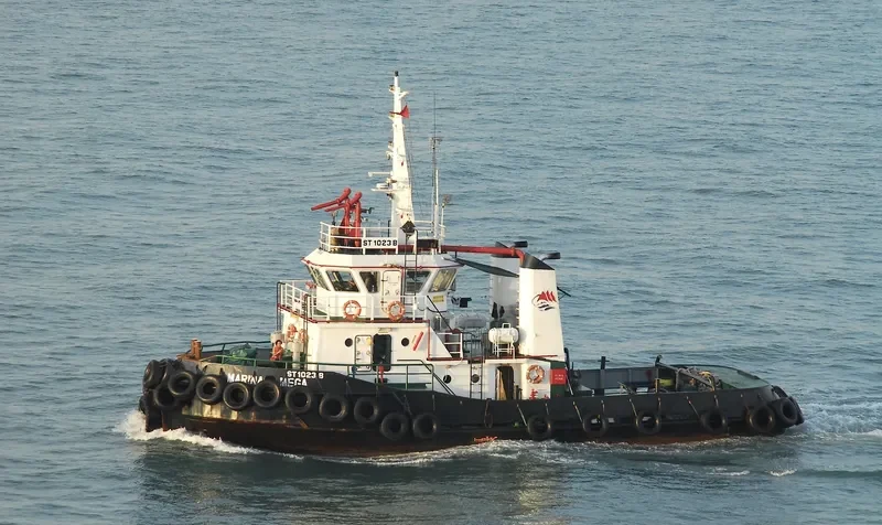 MARINA MEGA General Cargo IMO 9197648 photo 2