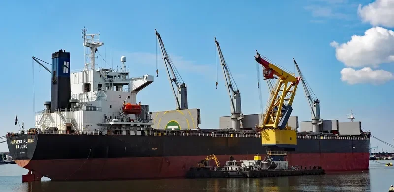 ATA M Bulk Carrier IMO 9197662