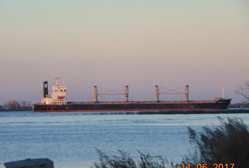 ATA M Bulk Carrier IMO 9197662 photo 4