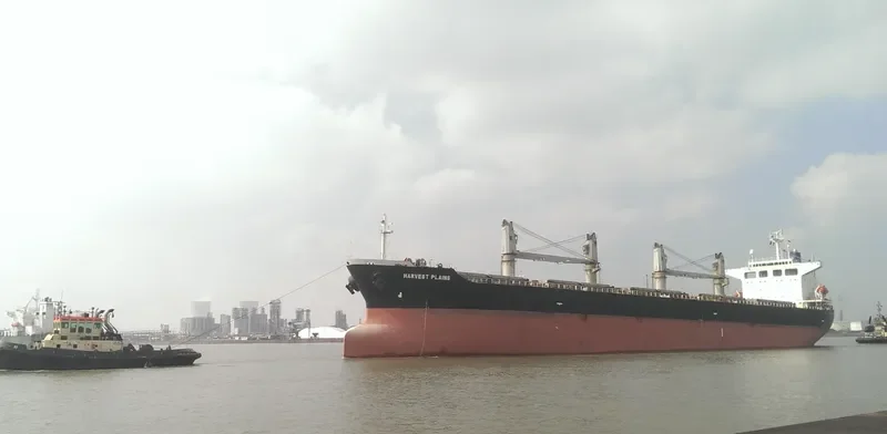 ATA M Bulk Carrier IMO 9197662 photo 9