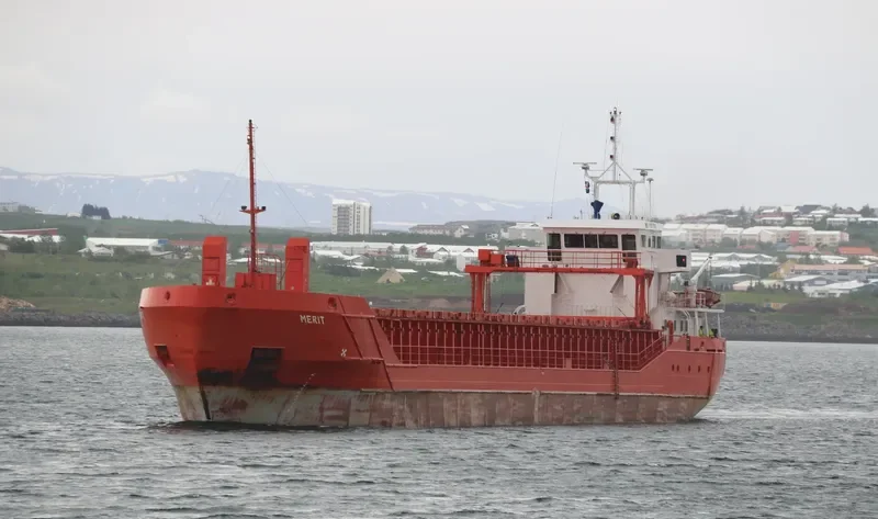 MERIT General Cargo IMO 9197789 photo 7