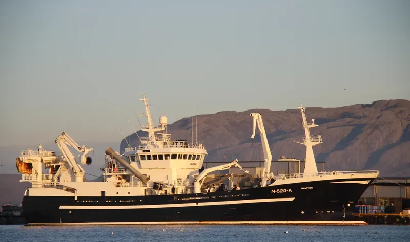 LOENNOEY General Cargo IMO 9197820 photo 3