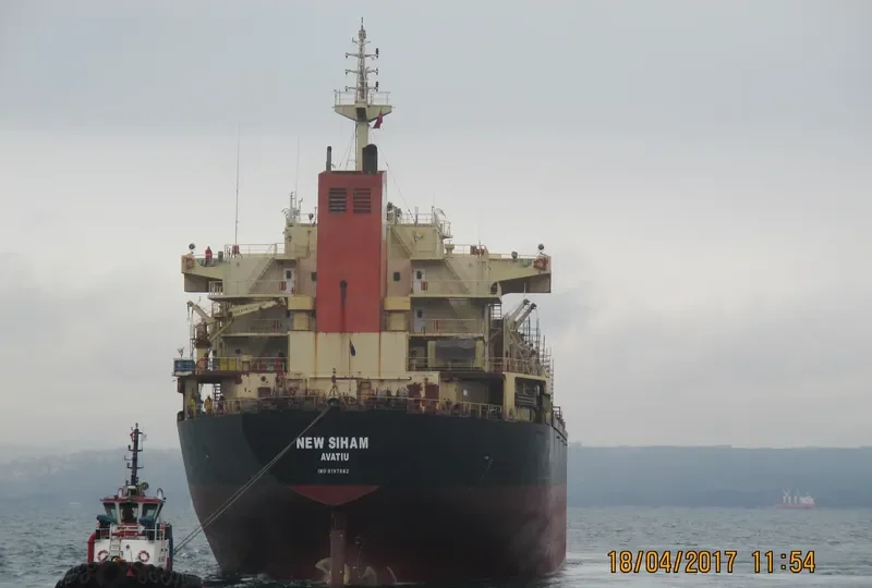 NEW SIHAM Bulk Carrier IMO 9197882 photo 3