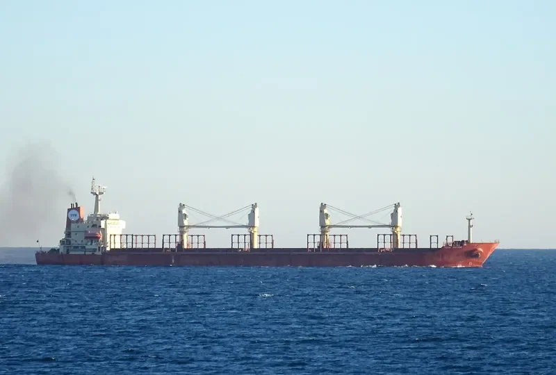 NEW SIHAM Bulk Carrier IMO 9197882 photo 5