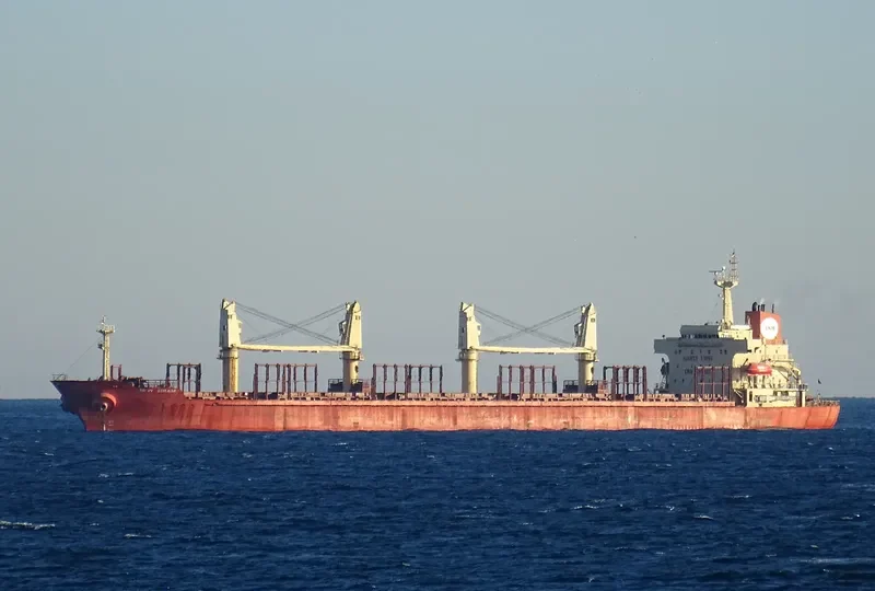 NEW SIHAM Bulk Carrier IMO 9197882 photo 6