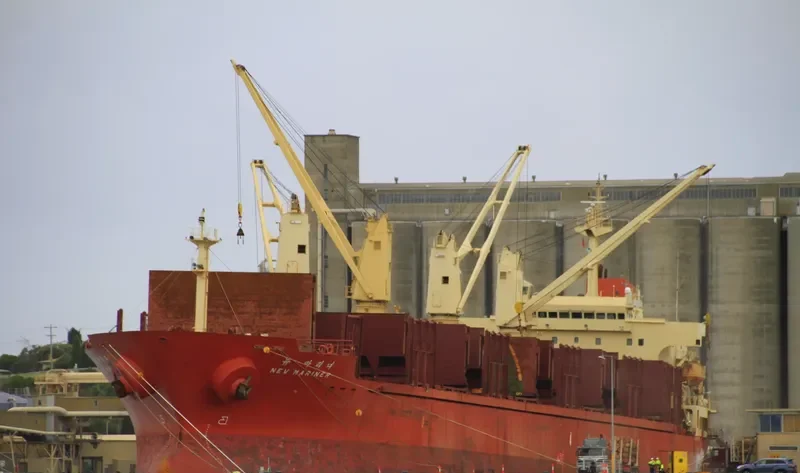 NEW SIHAM Bulk Carrier IMO 9197882 photo 7