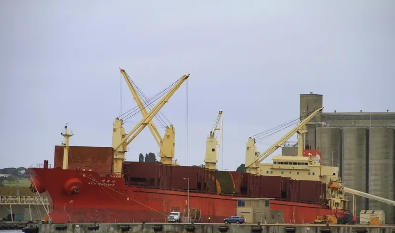 NEW SIHAM Bulk Carrier IMO 9197882 photo 8