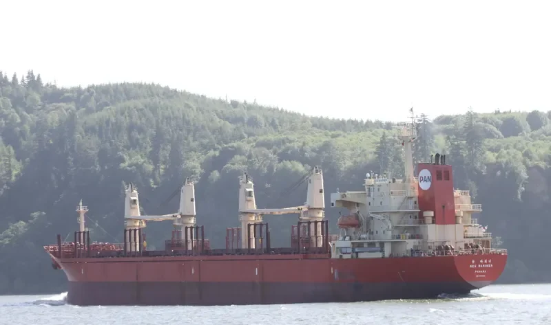 NEW SIHAM Bulk Carrier IMO 9197882 photo 9