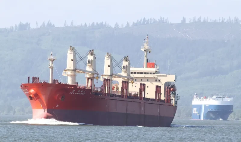 NEW SIHAM Bulk Carrier IMO 9197882 photo 10