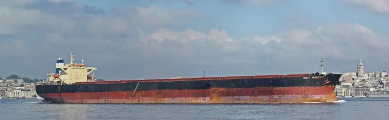 IONIAN Bulk Carrier IMO 9198020 photo 4