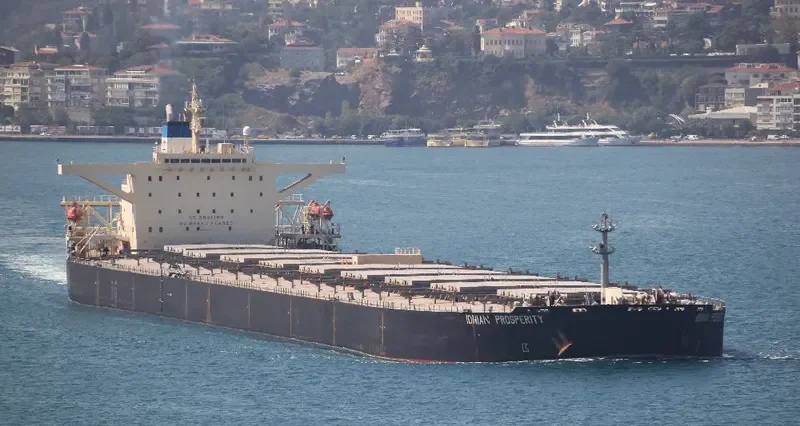 IONIAN Bulk Carrier IMO 9198020 photo 8