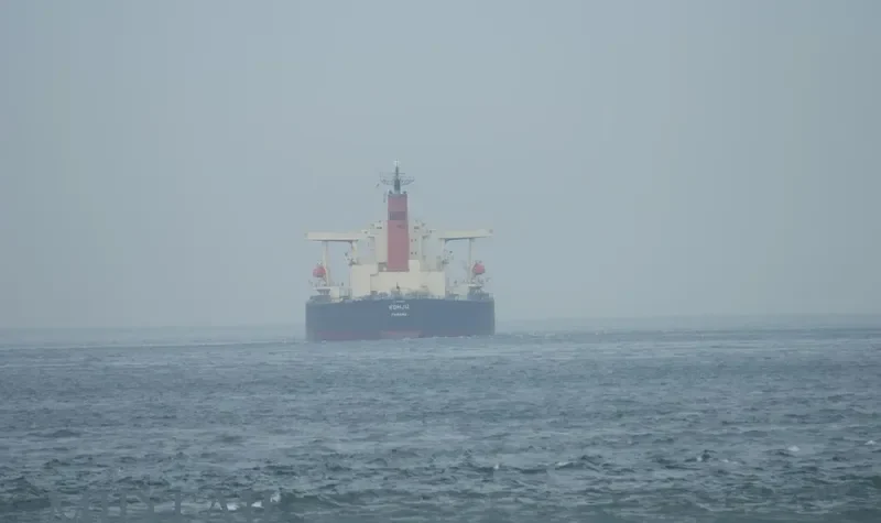 SUNNY BOKE Bulk Carrier IMO 9198240 photo 6