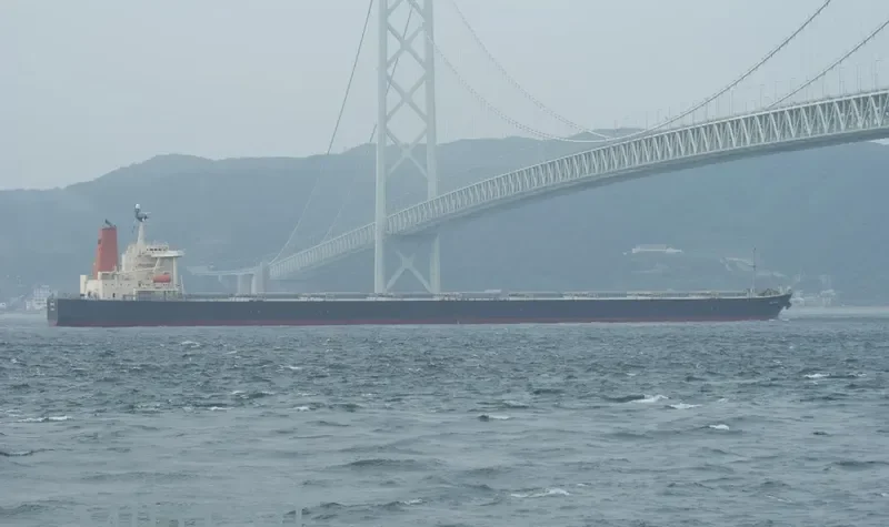 SUNNY BOKE Bulk Carrier IMO 9198240 photo 7